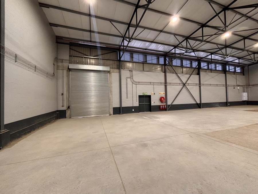 To Let commercial Property for Rent in Cape Farms Western Cape